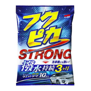 tNsJ STRONG Eϋv\^Cv 10 /\tg99 W-219/