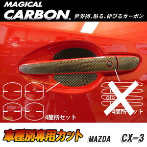 }WJJ[{ CX-3 DK5 FW/AW hAmuK[h ubN }c_/HASEPRO/nZvFCDGMA-6