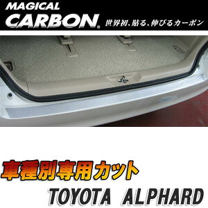 �}�W�J���J�[�{�� 10�A���t�@�[�h �J�[�S�X�e�b�v�K�[�h �u���b�N/HASEPRO/�n�Z�v���FCCST-2