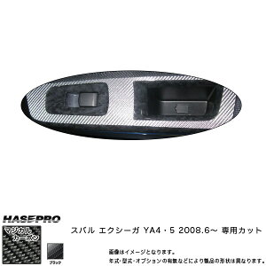 }WJJ[{ hAXCb`pl GNV[K YA4/5 NFH20/6`/HASEPRO/nZvFCDPS-2