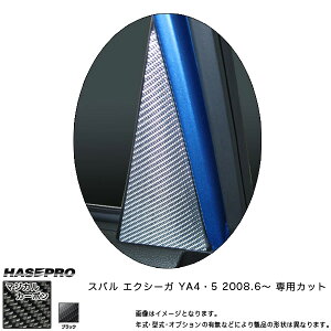 }WJJ[{ Ci[AhA GNV[K YA4/5 NFH20/6`/HASEPRO/nZvFCIDHPS-2