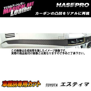 }WJA[gU[ Ci[pl ubN GXeB} ACR/GSR 50n H18/1`/HASEPRO/nZvFLC-IPT1