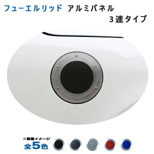 (S5F) g^ VG^ 170n t[GbhA~pl3A^Cv A~plH[