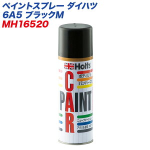 �{�f�B��o���p�[�ɂ� �h�T�r���ʁE�ό󐫔��Q 300ml �y�C���g�X�v���[ �_�C�n�c 6A5 �u���b�NM MH-16520