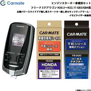 t[h 5hAS H20.5`H22.11 GB3/GB4n GWX^[^[ Zbg Ԏ TE-W7300 + TE54 + TE430 J[Cg