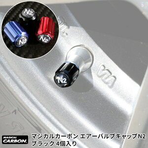 N2KXifKXj[Uԗp 4 A~肾 }WJJ[{ GA[ouLbvN2 ubN CAV-1N2 nZv/HASEPRO