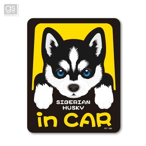Ă܂   hbOCJ[ V[ fJ[ ybgXebJ[ S HUSKY in CAR VxAEnXL[ PET-083 [l