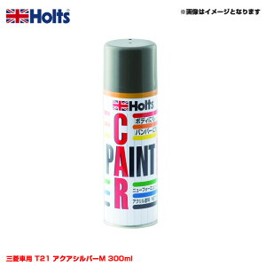 OHԗp T21 ANAVo[M 300ml Xv[ J[ J[yCgXv[ MH14533 zc/Holts