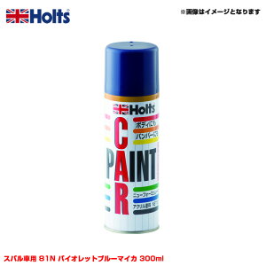 �X�o���ԗp 81N �o�C�I���b�g�u���[�}�C�J 300ml �X�v���[ �����J���[ �J�[�y�C���g�X�v���[ MH15530 �z���c/Holts