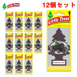 GA[tbVi[ ݂艺^ ԓ  y12Zbgz F ubN׃[EN[u gc[ 17343 eIAPAC