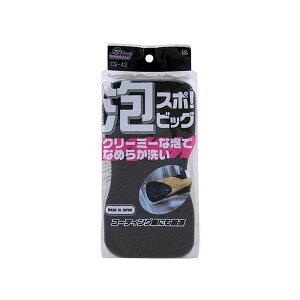 X|W 傫߃TCY AX|ErbO ԃX|W R[eBOԂɂœK CS-43 R[