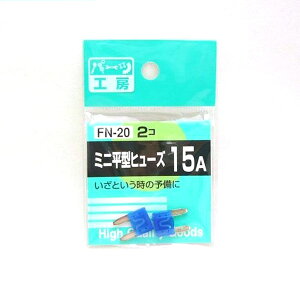 p[cH[F~j^q[Y 15A 2 FN-20