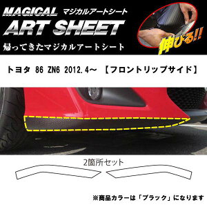 HASEPRO/nZvF}WJA[gV[g g^ 86 ZN6 tgbv ubN/MS-FRSST1/