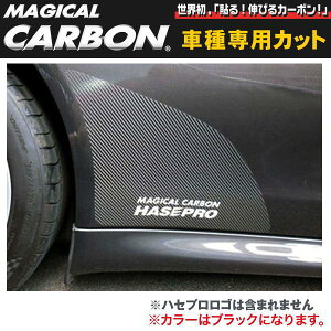 HASEPRO/nZvF`bsOK[h pi[ 970 (2009/03`) ubN/CCGP-1