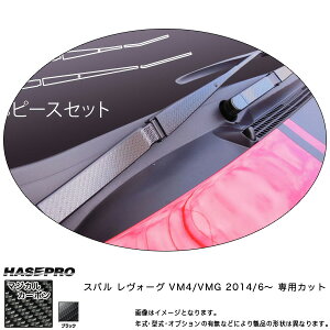 }WJJ[{ H[O VM tgCp[pXebJ[ ubN/HASEPRO/nZvFCFWAS-3