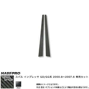 }WJJ[{ s[Zbg CvbT GD/GGn NF2000.8`2007.6/HASEPRO/nZvFCPS-9