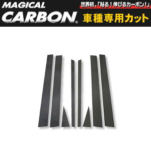 }WJJ[{ s[Zbg ACM20n CvT/nZv/HASEPROFCPT-6