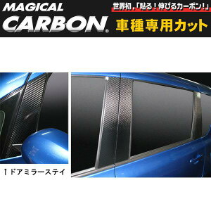 }WJJ[{ s[Zbg NeBX NCP/SCP100n/nZv/HASEPROFCPT-53