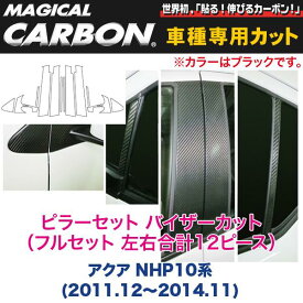 ピラーセット バイザーカット（フルセット 左右合計12ピース） マジカルカーボン ブラック アクア NHP10系(～2014.11)/ハセプロ：CPT-VF70