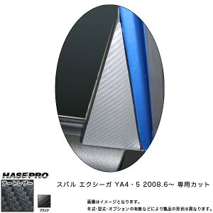 }WJA[gU[ Ci[AhA ubN GNV[K YA4E5 (2008.6`)/HASEPRO/nZvFLC-IRS1