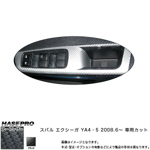 }WJA[gU[ hAXCb`pl ubN GNV[K YA4E5 (2008.6`)/HASEPRO/nZvFLC-DPS2