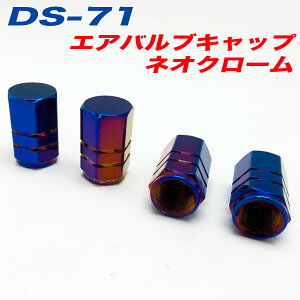 GAouLbv  oCN lIN[ NEO CHROME 4 At@ DS-71