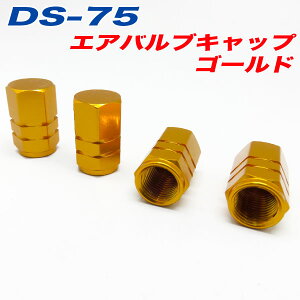 GAouLbv  oCN S[h GOLD 4 At@ DS-75