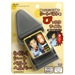 V[gxgwp[ qp̃V[gxg̕⏕ bN/TS-231