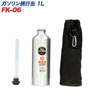 厩H/MeltecFK\gs A~ 1bg 1L K\//IC/y/ ^т FK-06