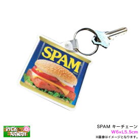 スパム キーチェーン キーホルダー ローカルフード W6×L5.5cm ハワイ おみやげ SPAM UT-KC-SPAM