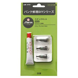 XebNLbg [p I[goC̃`[uX^C̃pNC }j 25982