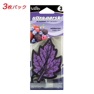 F Scents EgmXN Chx[ 3pbN ݂艺^  ԓ GA[tbVi[ zc/Holts NOR49-3P-80J