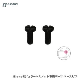 ネジ リペア 修理 補修 バイク オートバイ 固定 reise専用パーツ ヘルメット 2個入 REIZENB リード工業 LEAD