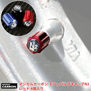 }WJJ[{ GA[ouLbvN2 bh N2KXifKXj[Uԗp 4 A~肾 nZv/HASEPRO CAV-1RN2