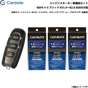 GWX^[^[ Zbg Ԏ RAV4 nCubh H31.4`R2.8 AXAH5#n J[Cg TE-W52PSB + TE157 + TE210 + TE207