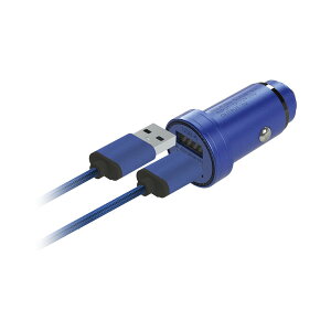 3.1A A~USB`[W[}`CgjOP[u u[ 24VΉ fɋ X}z[d Type-C A[NX X-257
