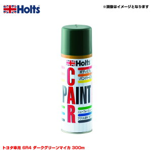 J[ J[yCgXv[ g^ԗp 6R4 _[NO[}CJ 300ml Xv[ zc/Holts MH12085