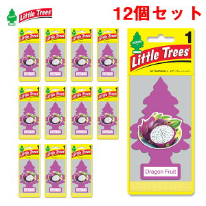 y12Zbgz F hSEt[c gc[ GA[tbVi[ ݂艺^ ԓ  eIAPAC 10397