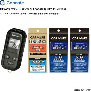 RAV4/���u�t�H�[ �K�\���� ACA3#W�n H17.11�`H18.8 �G���W���X�^�[�^�[ �Z�b�g �G���X�^ TE-L6000 + TE104 + TE421 + TE202 �J�[���C�g