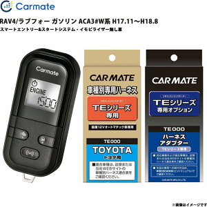 RAV4/���u�t�H�[ �K�\���� ACA3#W�n H17.11�`H18.8 �G���W���X�^�[�^�[ �Z�b�g �G���X�^ TE-L6000 + TE104 + TE202 �J�[���C�g