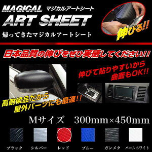 �n�Z�v��/HASEPRO �}�W�J���A�[�g�V�[�g �t���[�T�C�Y M�T�C�Y W300mm×H450mm ���ό�PVC�f�� �J�[�{�����V�[�g ���b�h MSR-M