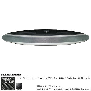 nZv/HASEPRO }WJJ[{ J[SXebvK[h Xo KVBc[OS BR9 H21.5` {J[{dl ubN CCSS-4