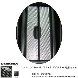 nZv/HASEPRO }WJJ[{ hNz_[ Xo GNV[K YA4/5 H20.6` {J[{dl ubN CCAPS-2