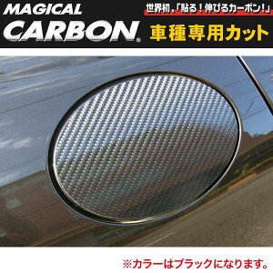 �n�Z�v��/HASEPRO �}�W�J���J�[�{�� �t���[�G�����b�h �|���V�F �p�i���[�� 970 H21.3�` �{�J�[�{���d�l �u���b�N CFP-3