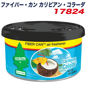 eIAPAC gc[ t@Co[EJ JrAER[_ FLittle Trees FIBER CAN GA[tbVi[ 30g 17824