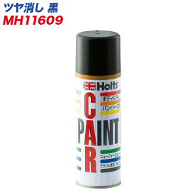 ツヤ消し 黒 補助スプレー 防サビ効果・耐候性 300ml MH-11609