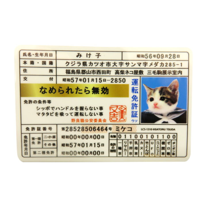 楽天市場 ゼネラルステッカー なめ猫 ステッカー 免許証 みけ子 なめんなよ デカール シール ネコ 車 リアガラス バンパー Lcs 1310 カー用品のhot Road Second Shop