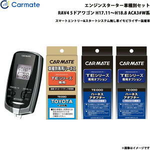 J[Cg GWX^[^[ Zbg Ԏ RAV4 5hAS H17.11`H18.8 ACA3#Wn TE-W7300 + TE104 + TE421 + TE202