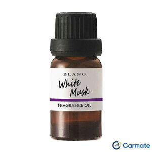 J[Cg uO tOXIC zCgXN ytOXfBt[U[piz F ԓ L10011