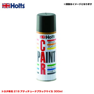 �z���c/Holts �����J���[ �J�[�y�C���g�X�v���[ �g���^�ԗp 218 �A�e�B�`���[�h�u���b�N�}�C�J 300ml �X�v���[ MH12136
